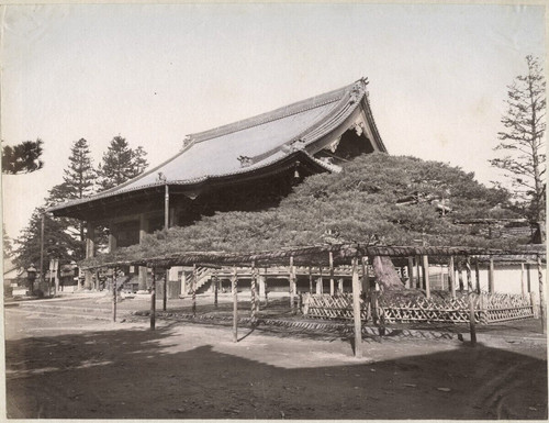 Foto anni 1890 circa - foto,