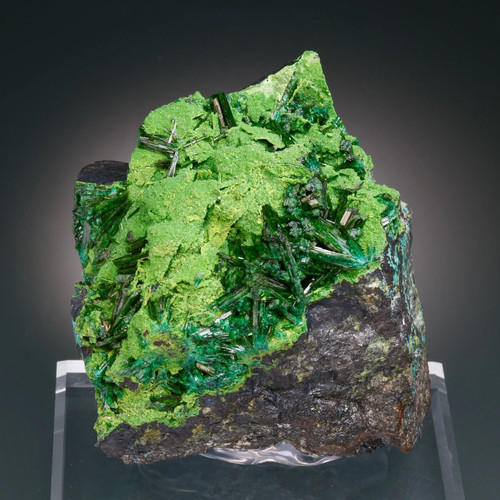 Oliveite fragranza miniera - oliveite,, fragranza,